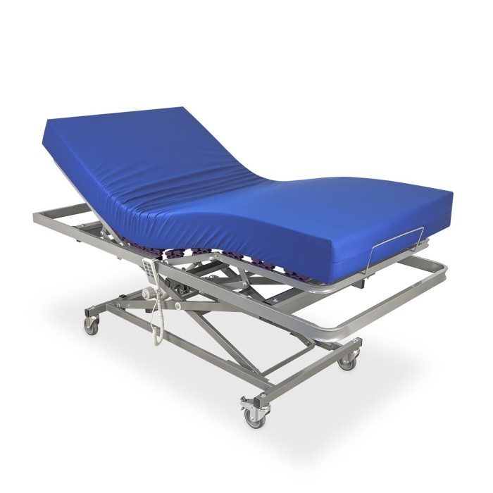 Llit Elèctrica Carro Elevador Articulada + Matalàs Sanitari