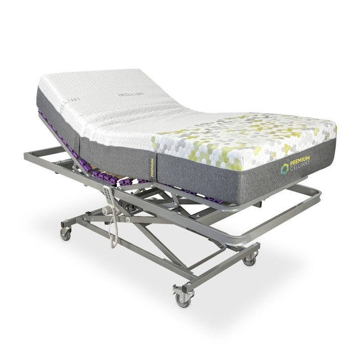 Cama Eléctrica Carro Elevador Articulada + Colchón Celliant Premium
